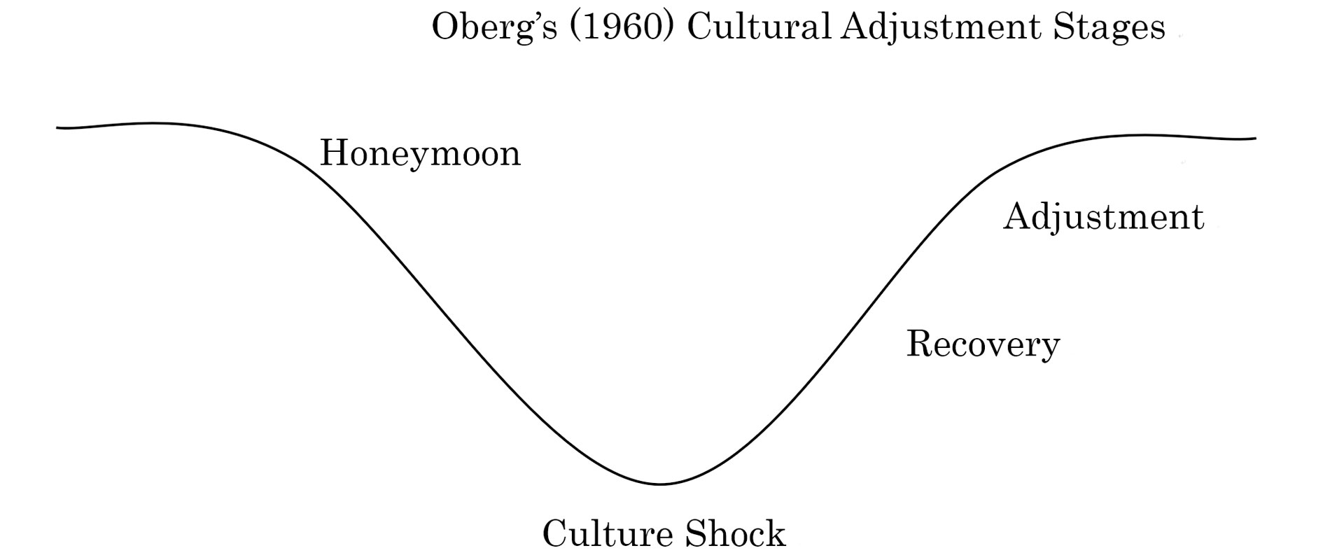 causes of culture shock essay